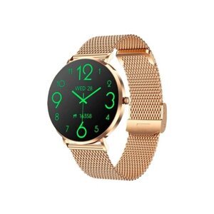 CARNEO Phoenix HR+ GOLD Ultra thin 2nd gen