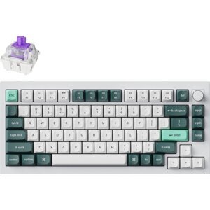 Keychron Q1 HE Swappable RGB Backlight Nebula Switch Knob Version – White, US