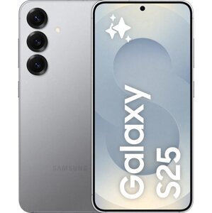 Samsung Galaxy S25 12 GB/128 GB Silver Shadow