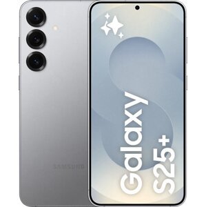 Samsung Galaxy S25+ 12 GB/256 GB Silver Shadow