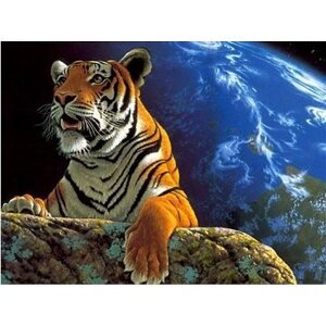 Gaira Tiger M1284