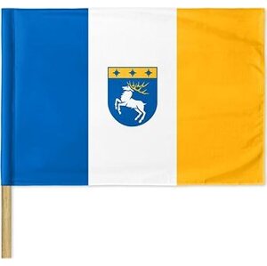 Arma/DayZ Livonia Flag 120 × 80 cm