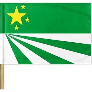 Arma/DayZ Republic Of Chernarus Flag 120 × 80 cm