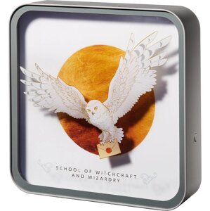 Harry Potter - Perspex Lamp - lampa dekorativní