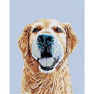 Diamondi – ZLATÝ RETRIEVER, 40 × 50 cm, bez rámu a bez napnutia plátna