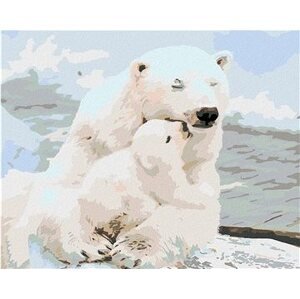 Diamondi – ĽADOVÉ MEDVEDÍKY, 40 × 50 cm, napnuté plátno na rám