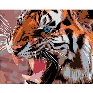 Diamondi – MODRÉ TIGRIE OČI, 40 × 50 cm, napnuté plátno na rám