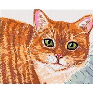 Diamondi – Diamantové maľovanie – BÉŽOVÁ MAČKA A ZELENÉ OČI, 40 × 50 cm, bez rámu a bez vypnutia plátna