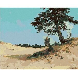 Diamondi – Diamantové maľovanie – BOROVICE NA PIESKU (IVAN SHISHKIN), 40 × 50 cm, bez rámu a bez vypnutia plátna