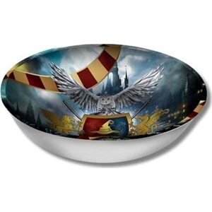 GUIRCA Plastová miska čarodejník – čarodejník Harry – 27 cm