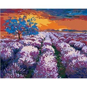 Levanduľové pole pri západe slnka II, 80 × 100 cm, plátno napnuté na rám