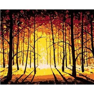 Západ slnka v jesennom lese, 40×50 cm, bez rámu a bez vypnutia plátna