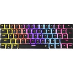 White Shark ASHIKO 2 Black, modrý SW – US