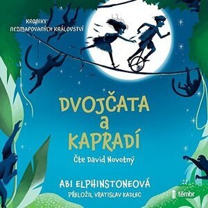 Dvojčata a kapradí