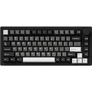 AKKO MONSGEEK M1 V5 Black & Silver (Akko Mirror Switch)