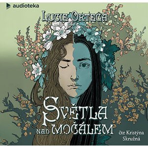 Světla nad močálem
