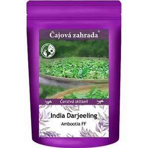 Čajová záhrada India Darjeeling Ambootia Organic FF – čierny čaj, 50 g