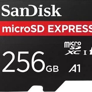 SanDisk MicroSD Express 256GB (NVMe)