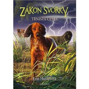 Zákon svorky 4: Tŕnistá cesta