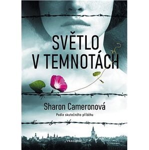 Světlo v temnotách