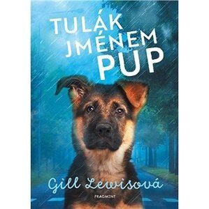 Tulák jménem Pup