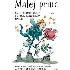 Malej princ