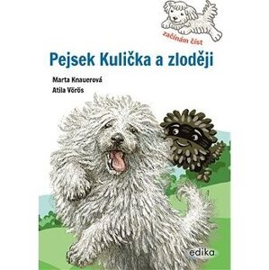 Pejsek Kulička a zloději – Začínám číst