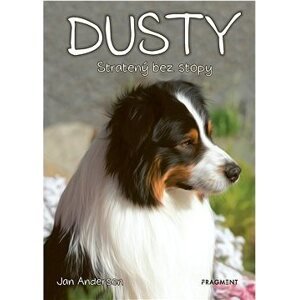 Dusty 7: Stratený bez stopy