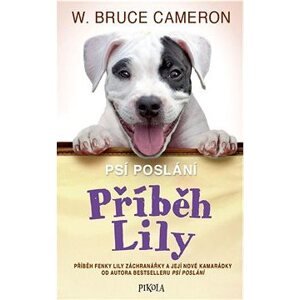 Příběh Lily