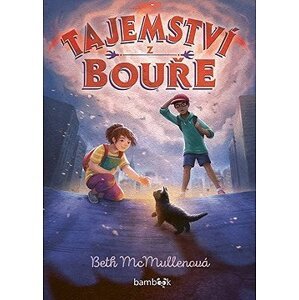Tajemství z bouře