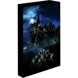 Harry Potter – Rokfort, 30 × 40 cm – LED svietiaci obraz