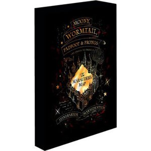 Harry Potter – Záškodnícky plánik, 30 × 40 cm – LED svietiaci obraz