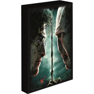 Harry Potter – Harry vs. Voldemort, 30 × 40 cm – LED svietiaci obraz