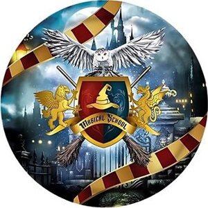 GUIRCA Papierové taniere čarodejník 23 cm – kúzelník Harry – 6 ks