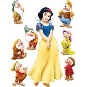 DK869 Samolepiaca dekorácia SNOW WHITE 65 × 85 cm