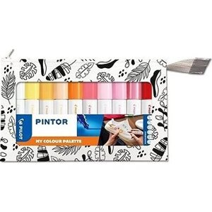 PILOT Pintor Fine Medium, sada 10 ks, teplé odtiene