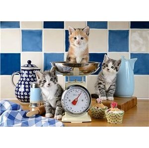Schmidt Puzzle Mačky v kuchyni 500 dielikov