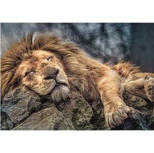 Trefl Puzzle Spiaci lev 1000 dielikov