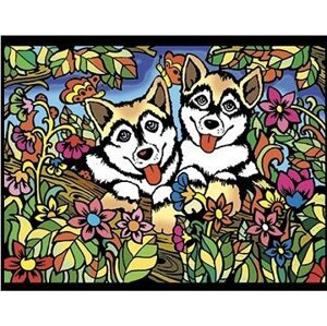 Colorvelvet Zamatový obrázok Husky