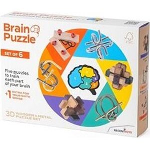 RecentToys Brain Puzzle - sada 6 kusů
