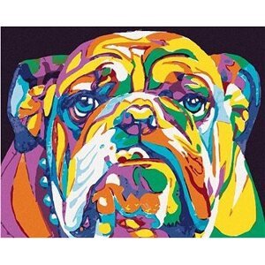 Farebný buldog, 40 × 50 cm, bez rámu a bez napnutia plátna
