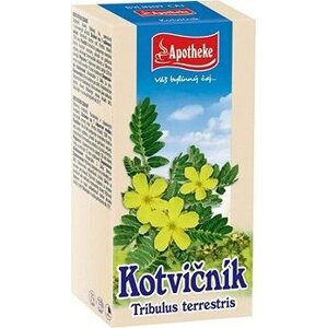 Apotheke Kotvičník čaj 20× 1,5 g