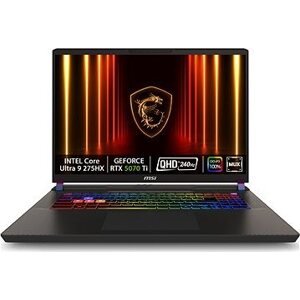 MSI Vector 17 HX AI A2XWJG-031SK