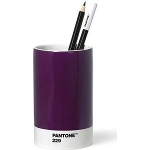 PANTONE porcelánový, Aubergine 229