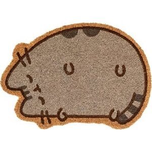 Grupo Erik Pusheen: 2D Pusheen