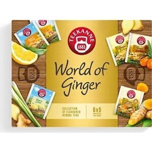 Teekanne World of Ginger Collection 6× 5 vreciek
